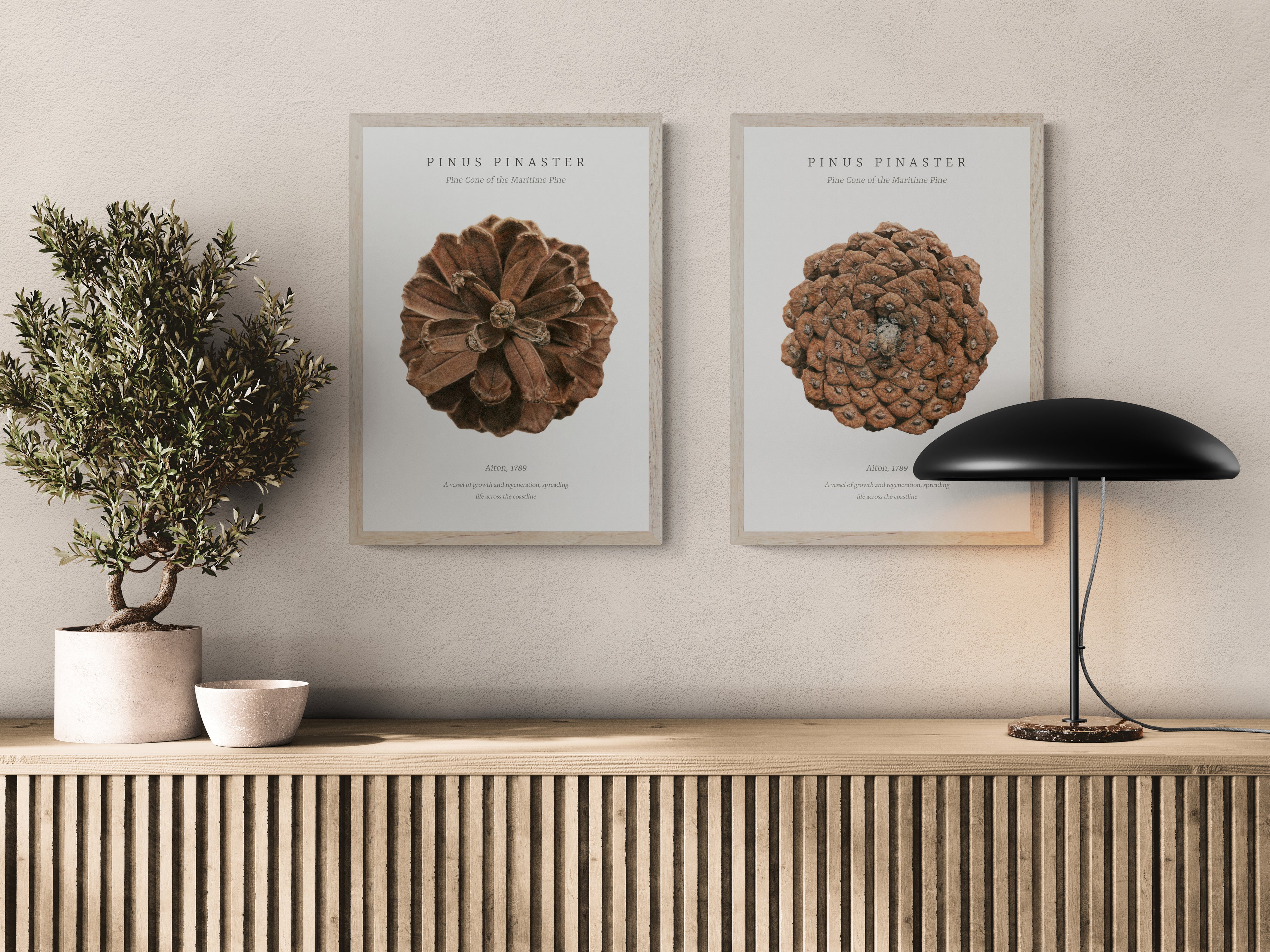 pinus-pinaster-a2-set-poster-cabinet-with-potted-plant-and-lamp