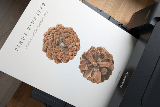 Canon imagePROGRAF Pro-1100 Is Here!