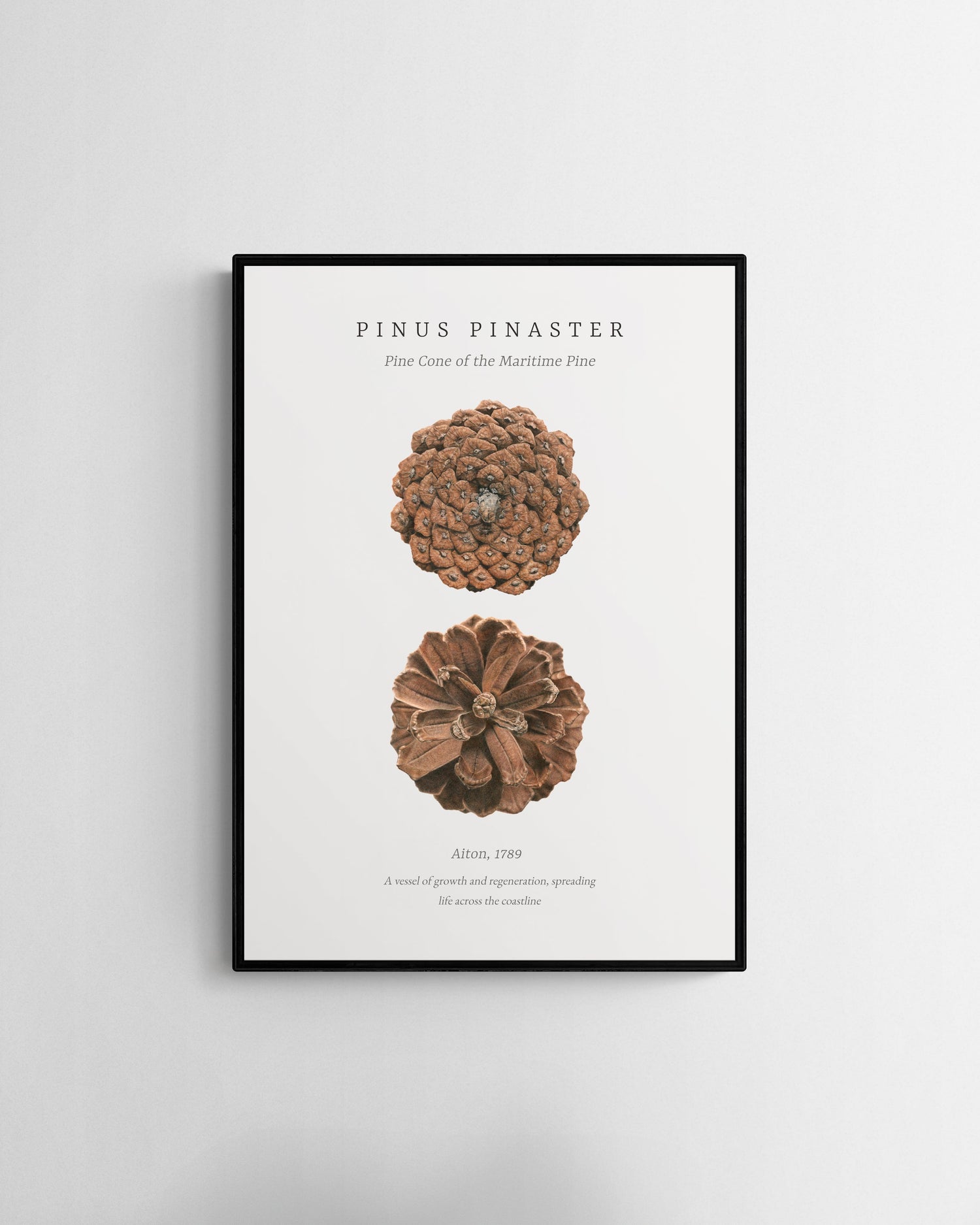 Fine Art Prints