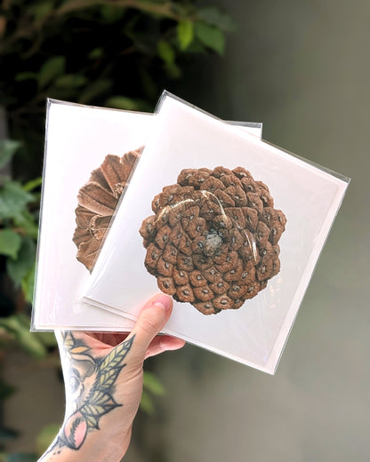 Pinus Pinaster – Signed Miniature Fine Art Card