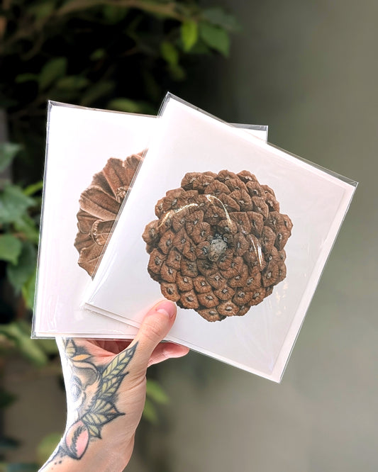 Pinus Pinaster – Miniature Fine Art Card