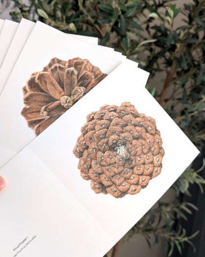 Pinus Pinaster – Signed Miniature Fine Art Card