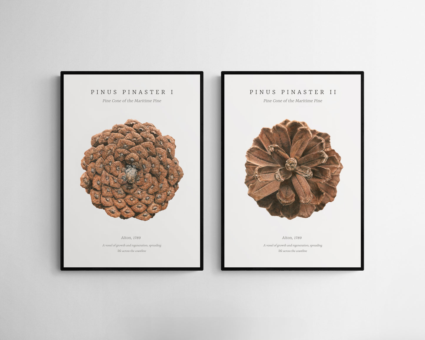“Pinus Pinaster I & II” Fine Art Print Set