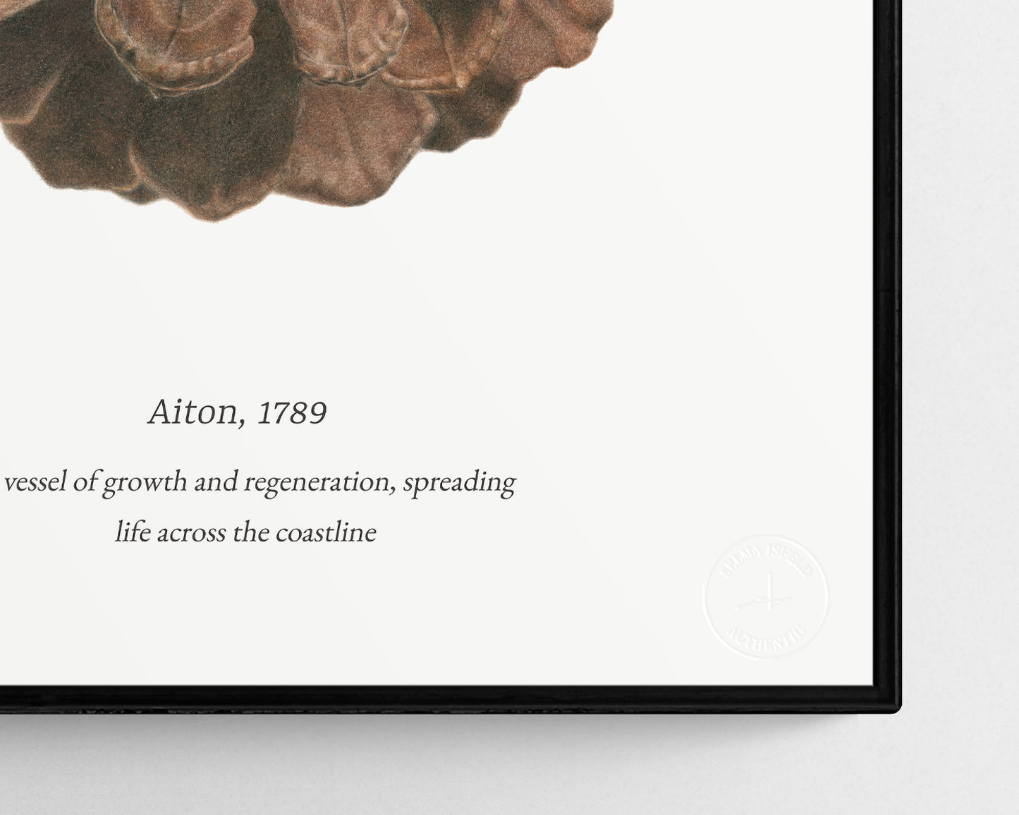 Pinus Pinaster II by Selma Isfeld