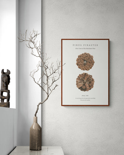 Pinus Pinaster embossed fine art print by Selma Isfeld