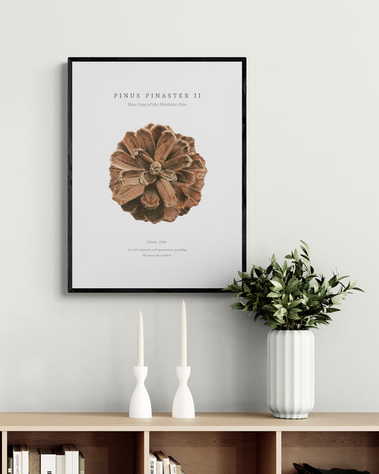 “Pinus Pinaster II” Fine Art Print