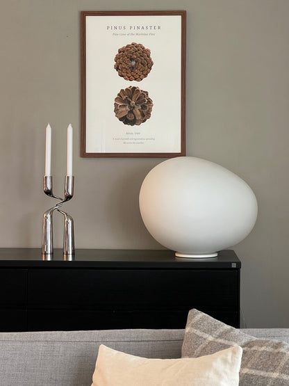 Pinus Pinaster – Giclée-trykk