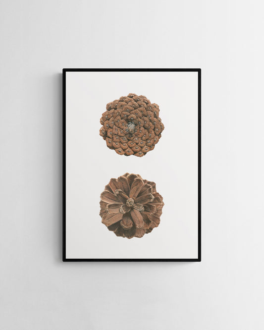 “Pinus Pinaster” Original Artwork