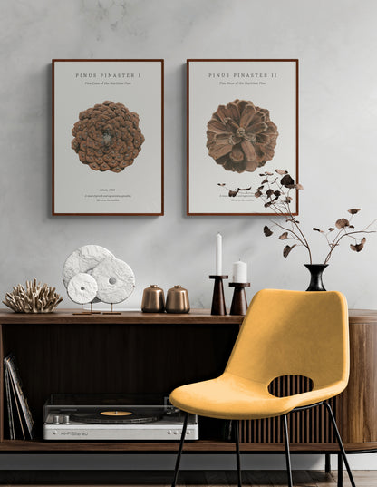 Pinus Pinaster embossed fine art print set by Selma Isfeld