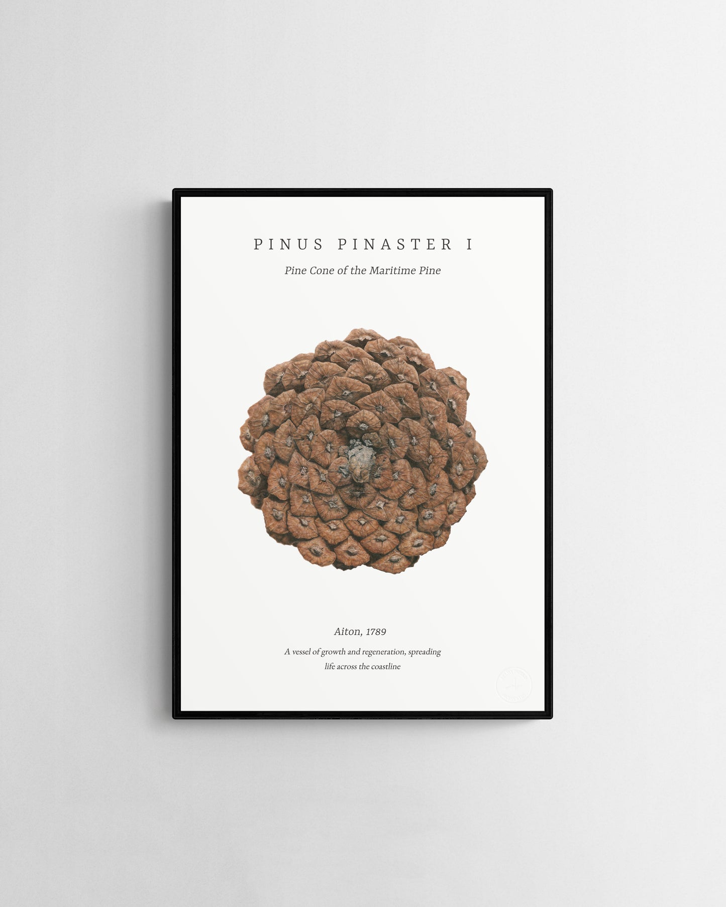 Pinus Pinaster I embossed fine art print by Selma Isfeld