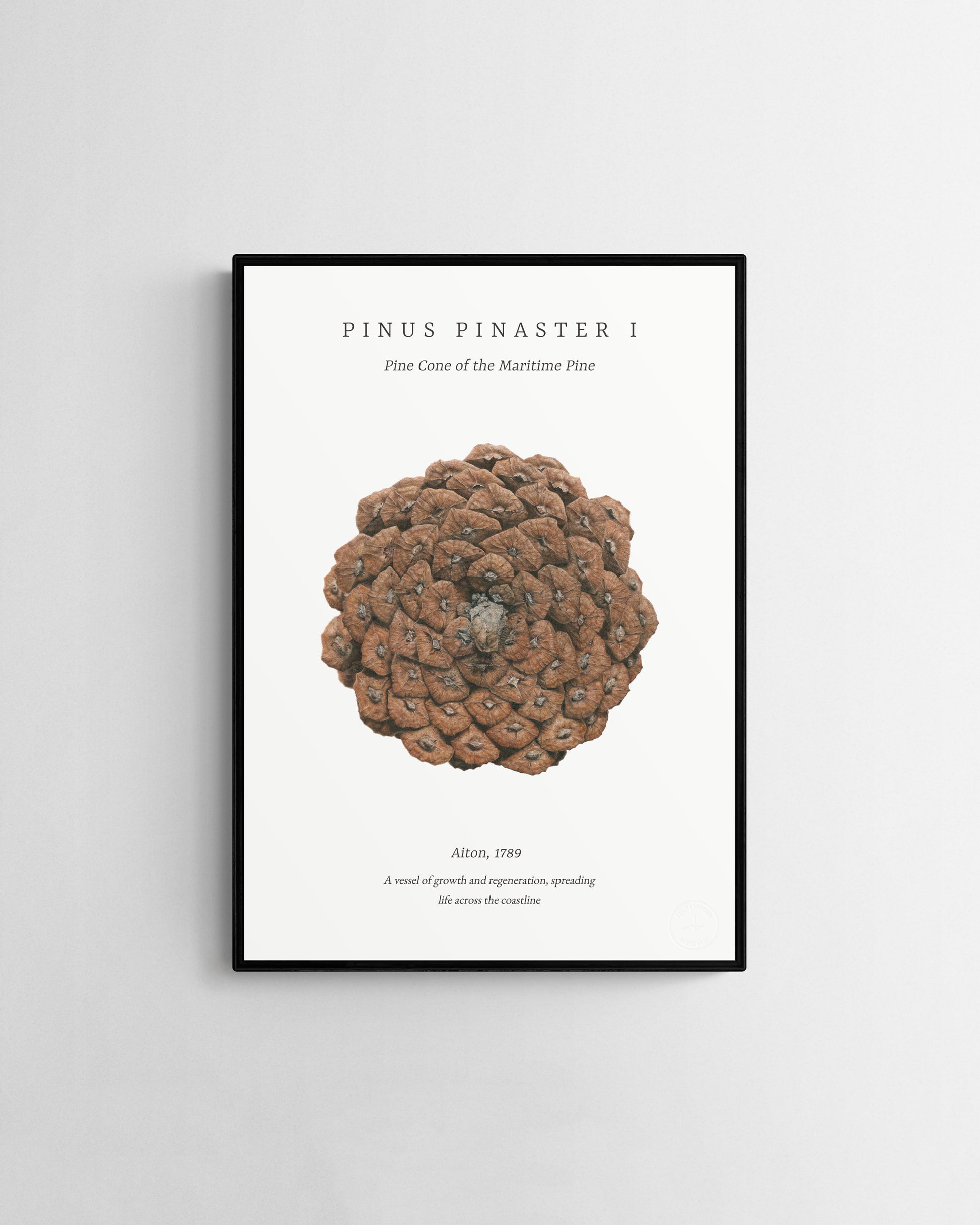 Pinus Pinaster I embossed fine art print by Selma Isfeld