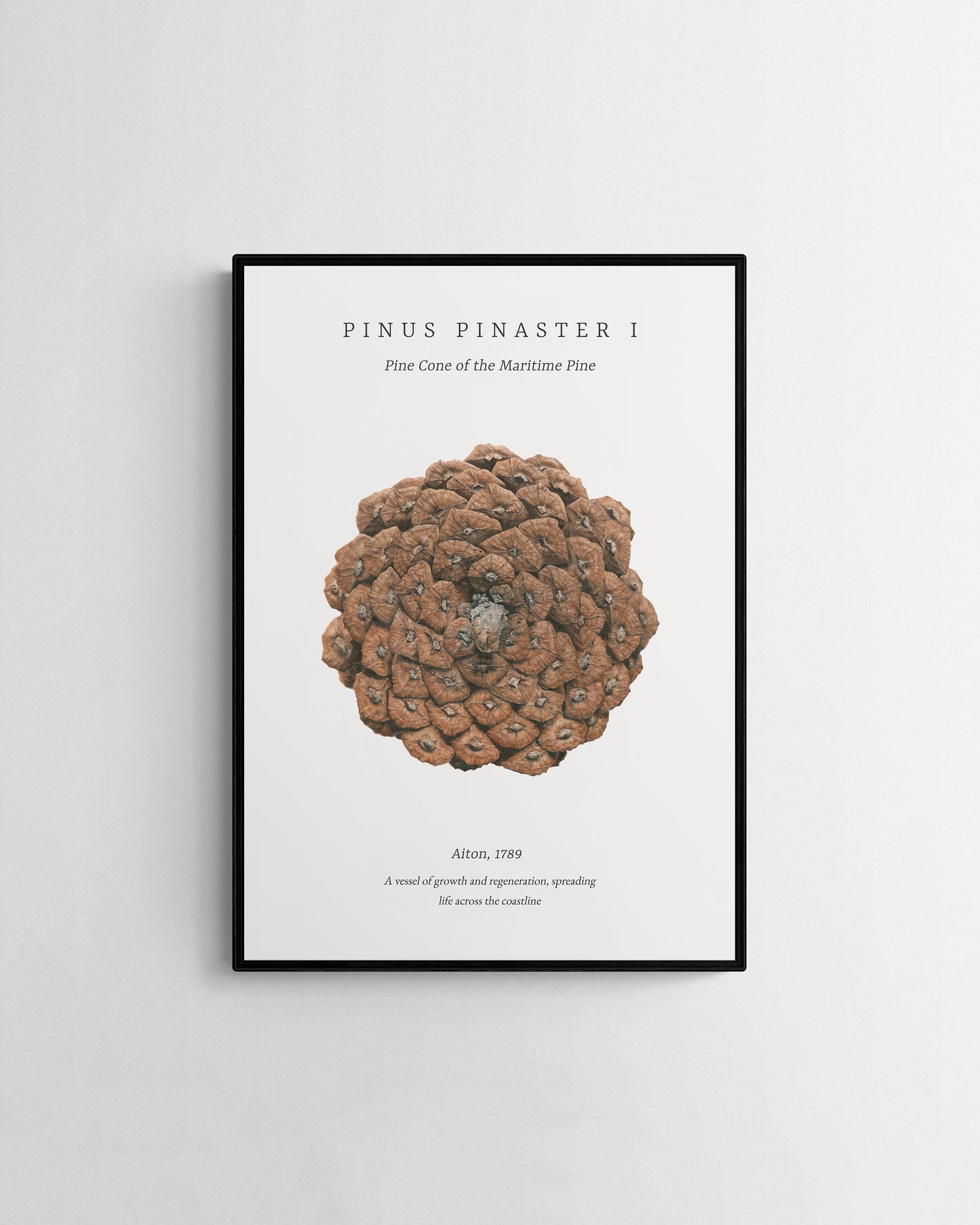 “Pinus Pinaster I" Gicléetrykk