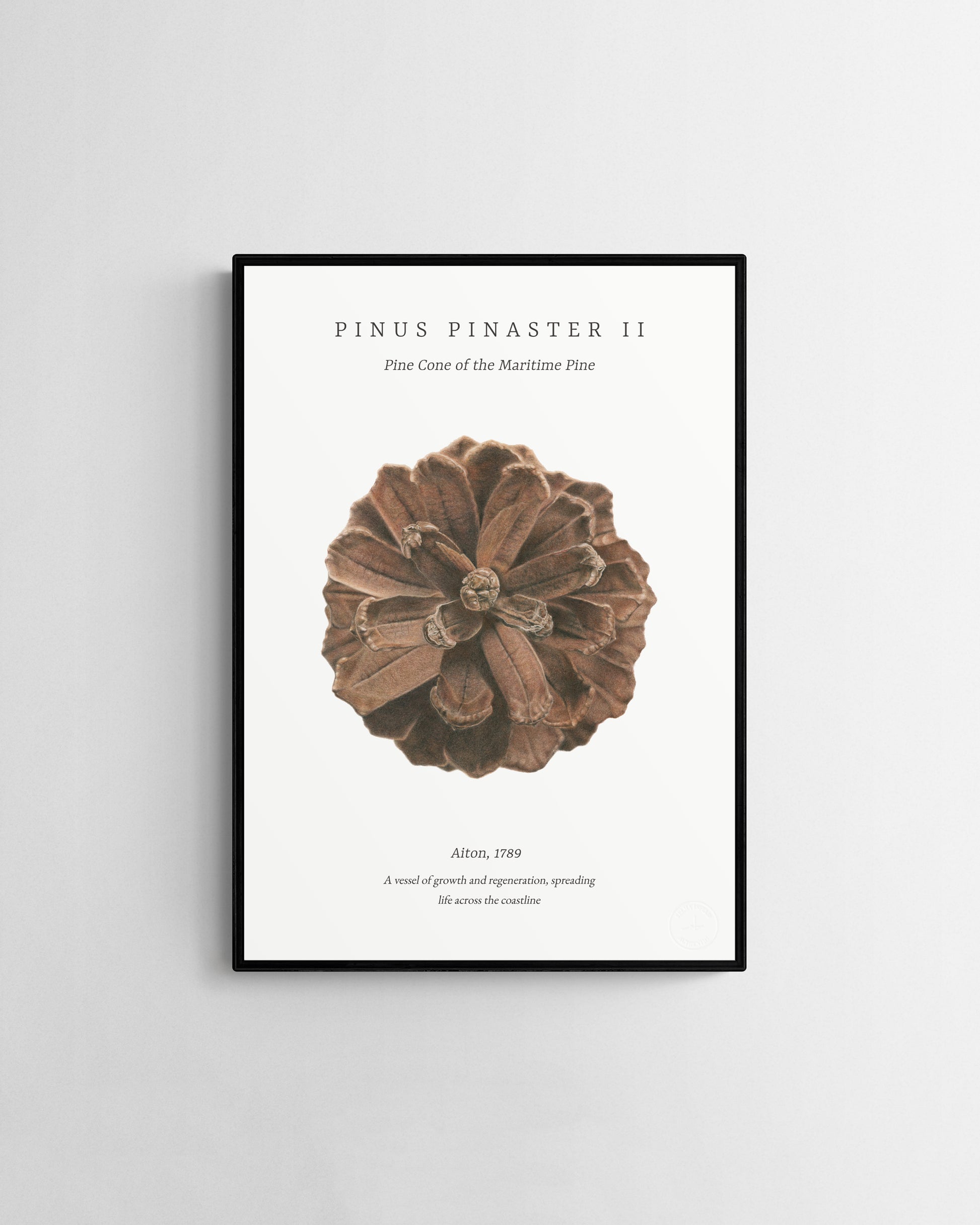 Pinus Pinaster II embossed fine art print by Selma Isfeld