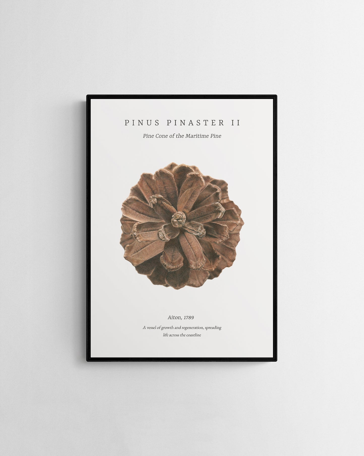 “Pinus Pinaster II" Gicléetrykk