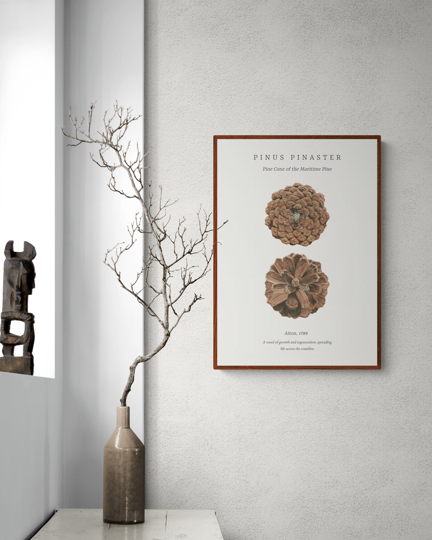 “Pinus Pinaster" Fine Art Print